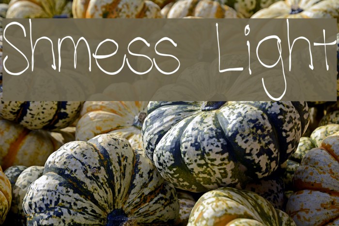 Shmess Light Font examples