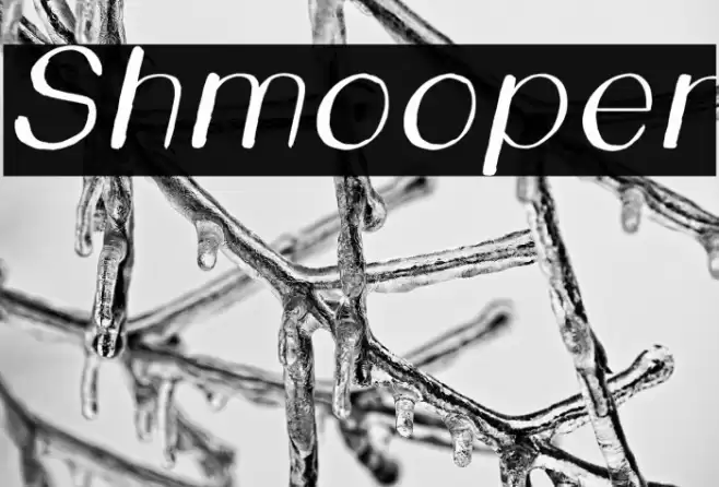 Shmooper Font examples