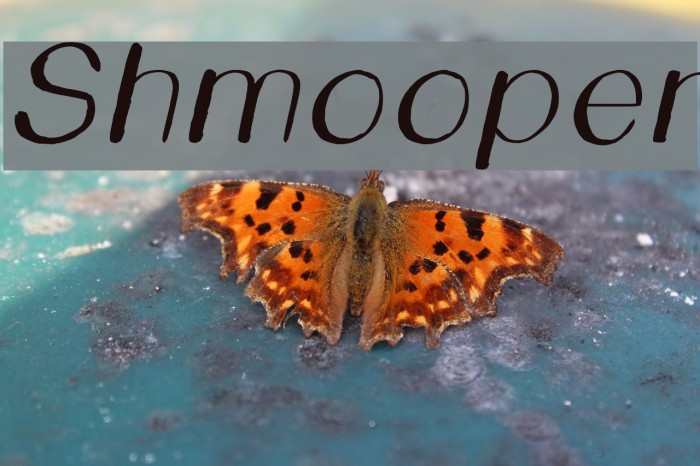 Shmooper Font examples
