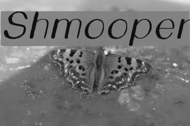 Shmooper Font examples