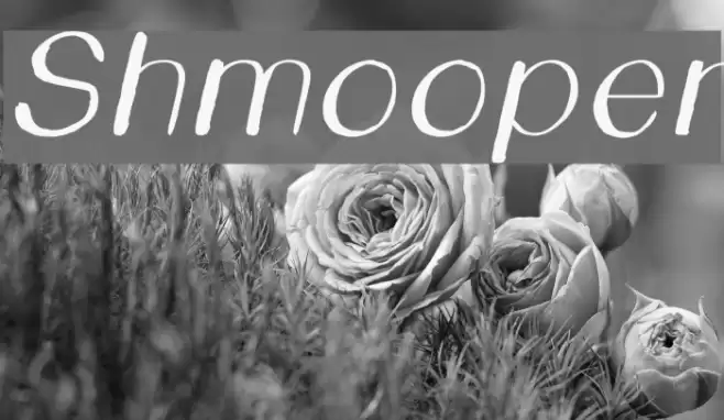 Shmooper Font examples