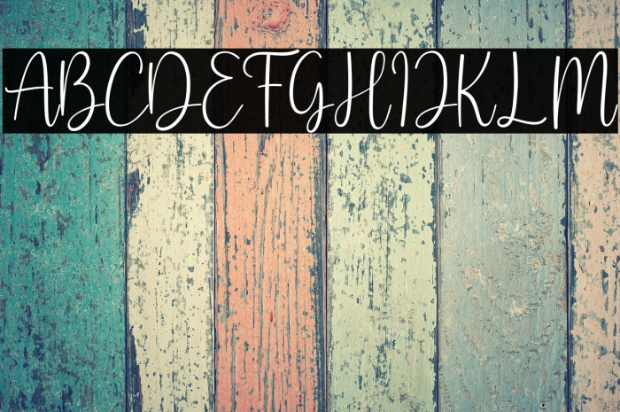 Shmoopie Trial Example 1