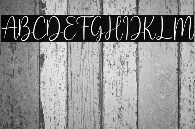 Shmoopie Trial Font examples