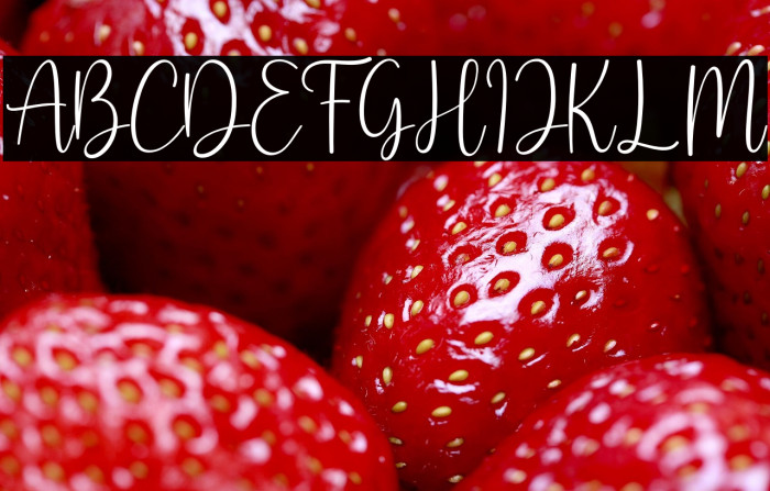 Shmoopie Trial Example 2