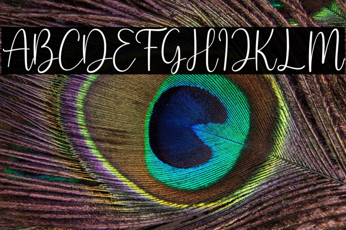 Shmoopie Trial Example 3