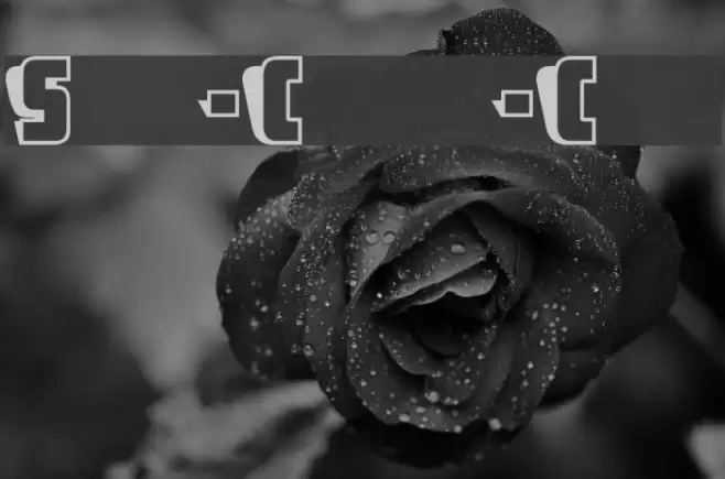 Sho-Card-Caps Font examples