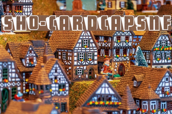 Sho-CardCapsNF Font examples