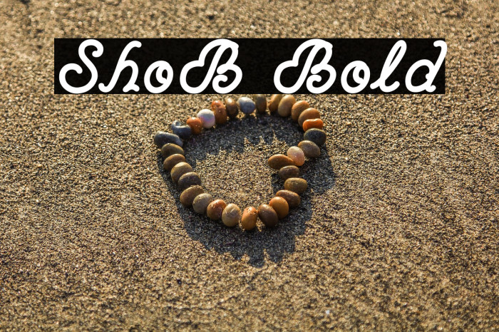 ShoB Bold Example 1