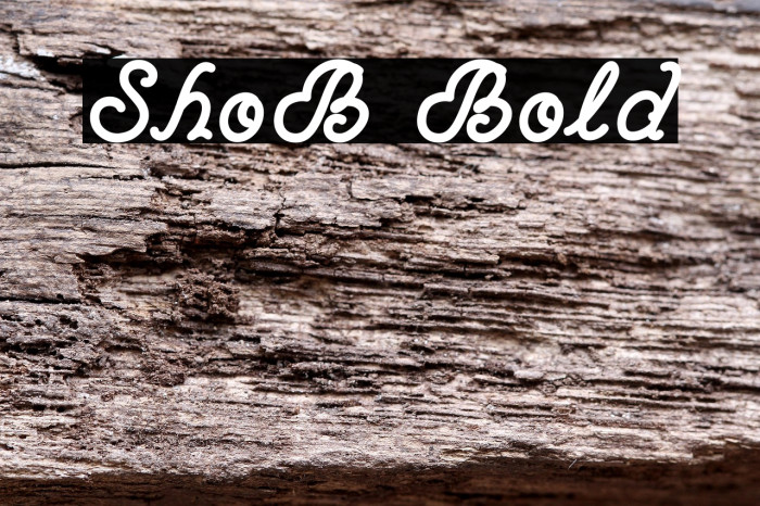 ShoB Bold Example 2