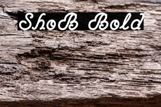 ShoB Bold Example 2