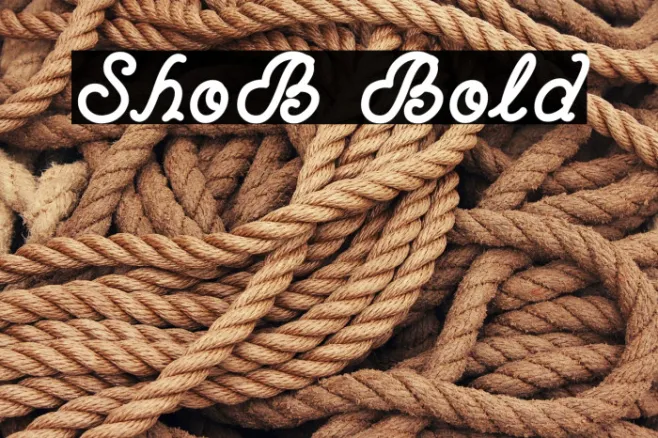 ShoB Bold Example 3