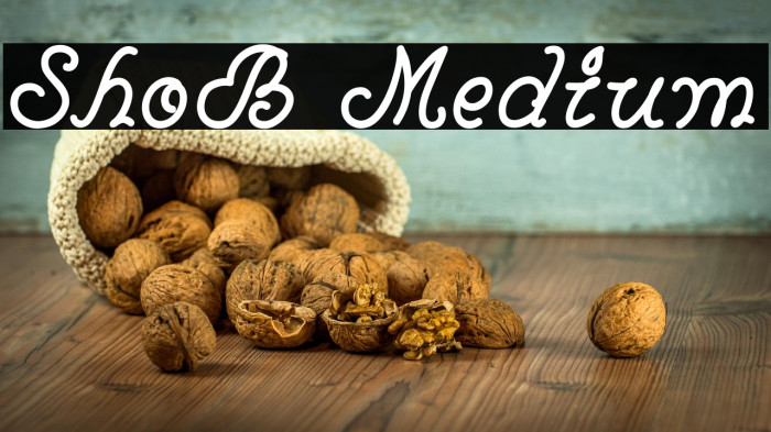 ShoB Medium Example 2