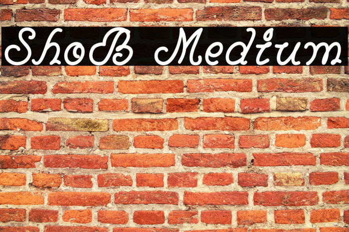 ShoB Medium Example 3