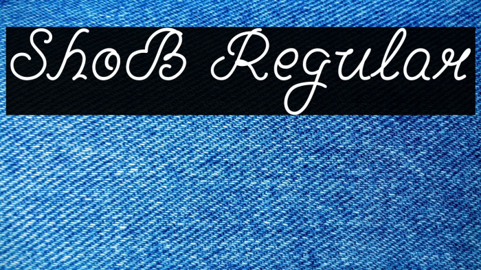 ShoB Regular Example 1