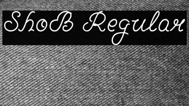 ShoB Regular Font examples