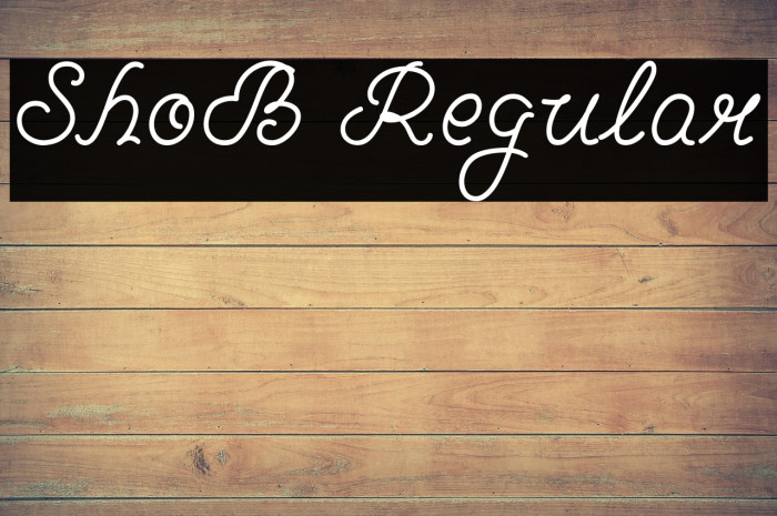 ShoB Regular Example 2