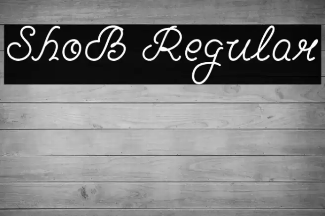 ShoB Regular Font examples