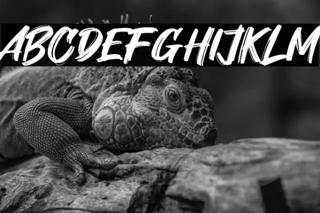 Shock Brat Caratteri examples