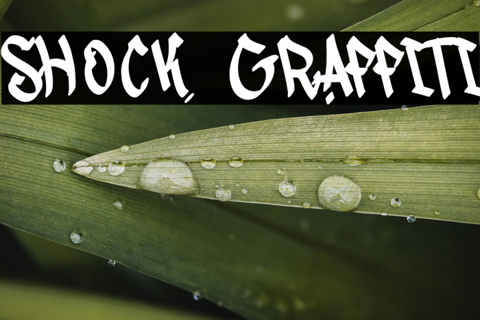 Shock Graffiti Example 1