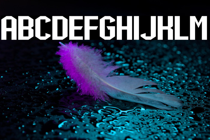 Shock Mint Fund Example 1