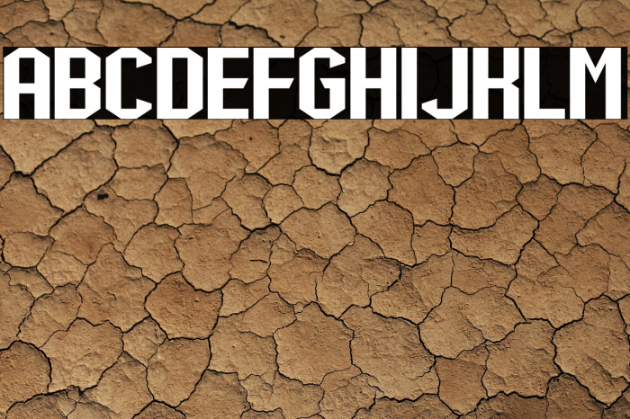 Shock Mint Fund Example 2