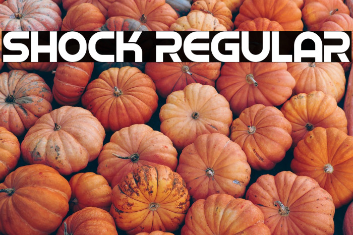 Shock Regular Example 2