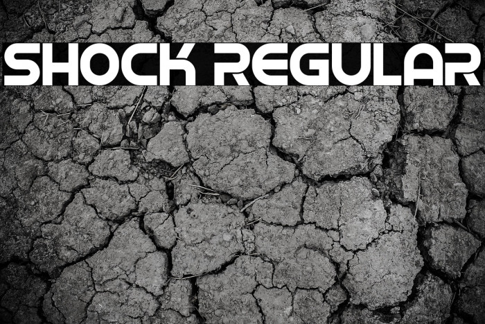 Shock Regular Example 3