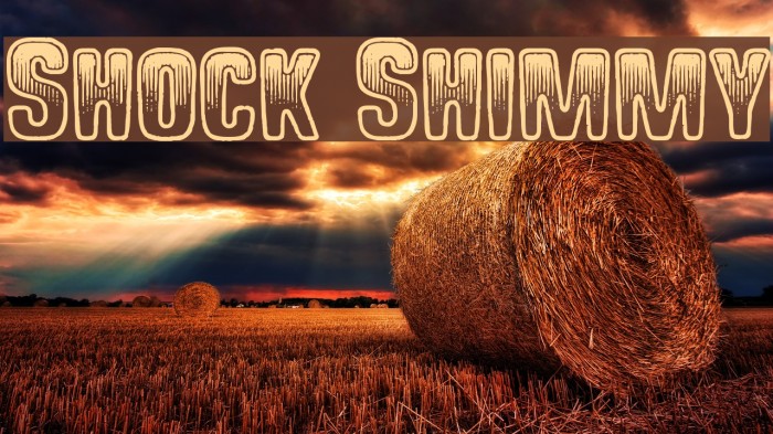 Shock Shimmy Font examples