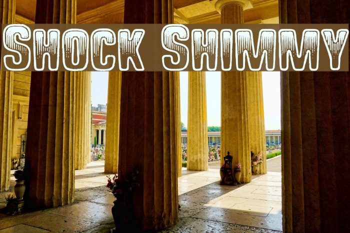 Shock Shimmy Font examples