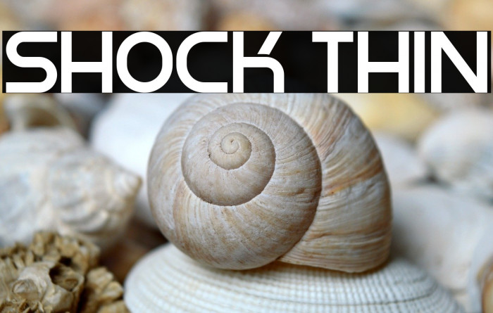 Shock Thin Example 2