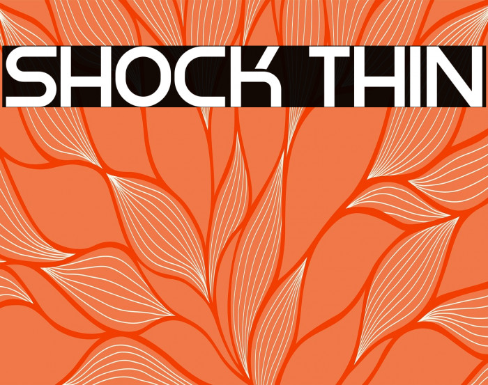 Shock Thin Example 3