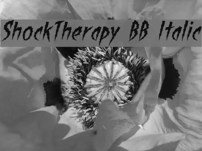ShockTherapy BB Italic Font examples