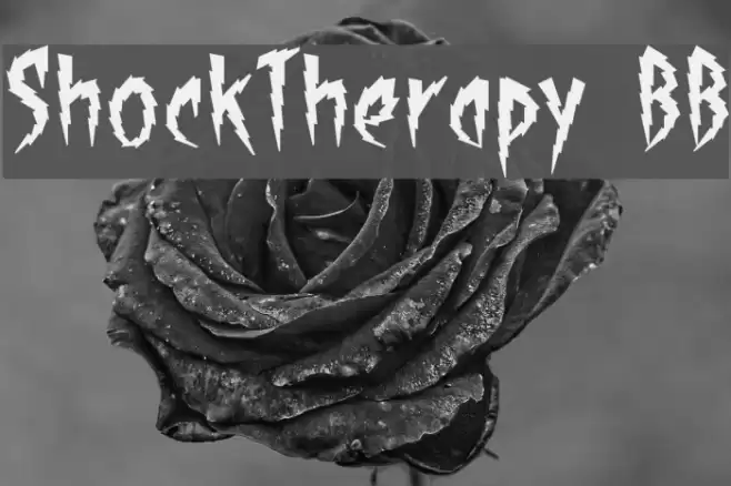 ShockTherapy BB Font examples