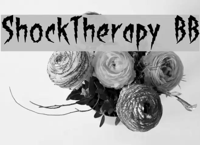 ShockTherapy BB Font examples