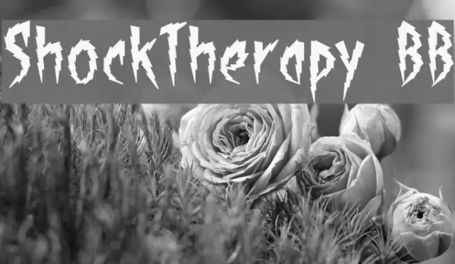 ShockTherapy BB Font examples