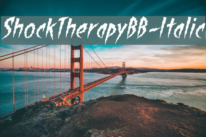 ShockTherapyBB-Italic Font examples