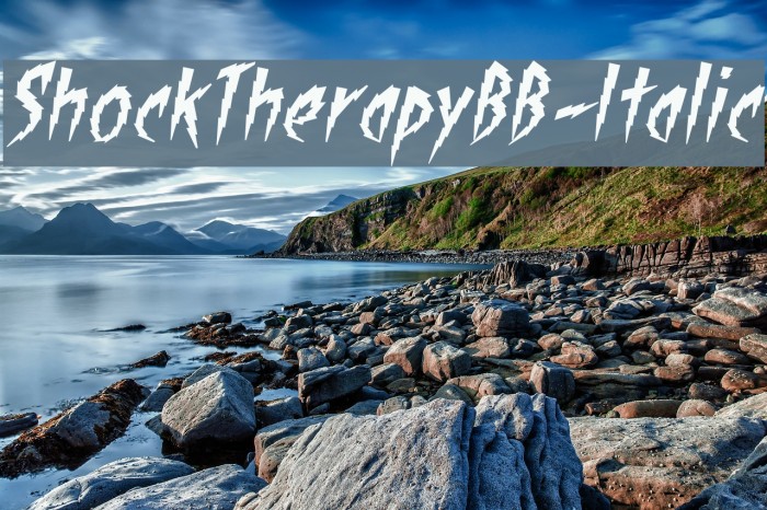 ShockTherapyBB-Italic Font examples