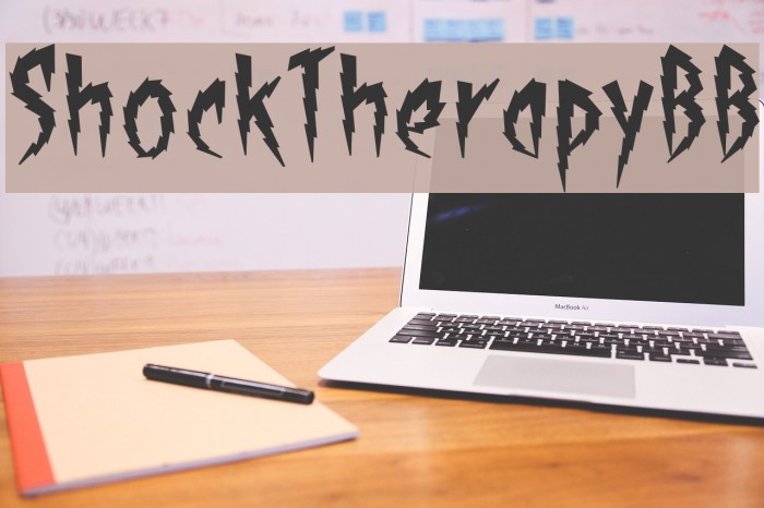 ShockTherapyBB Example 3