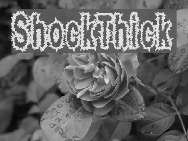 ShockThick フォント examples