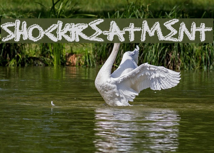 ShockTreatment Example 2