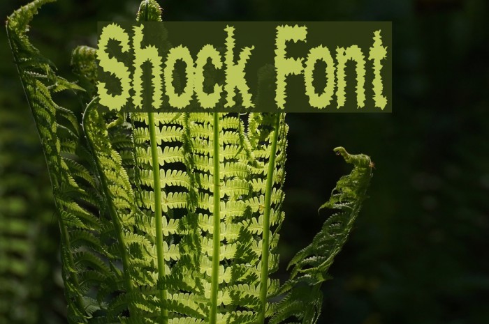Shock フォント examples