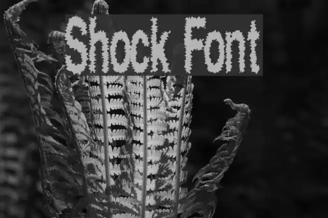 Shock Шрифта examples
