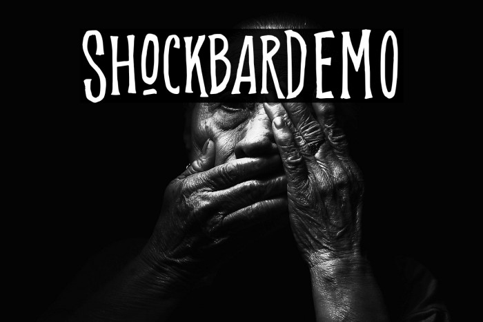 ShockbarDEMO Example 1