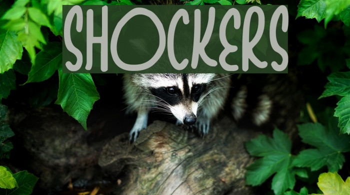 Shockers Font examples