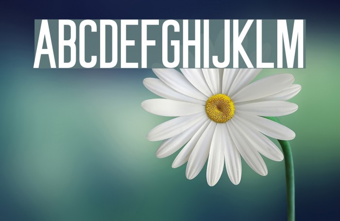 Shocking Headline Font examples