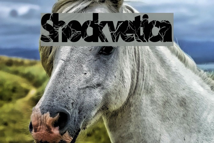 Shockvetica Font examples