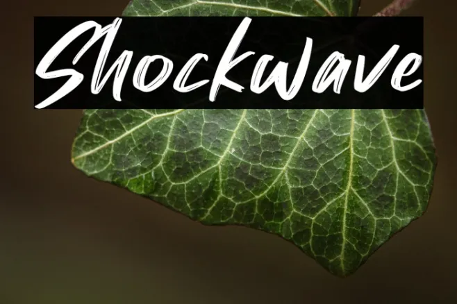 Shockwave Example 1