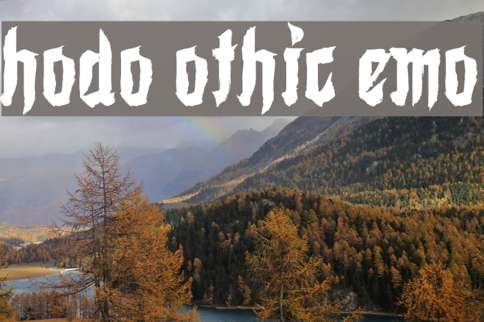 Shodo Gothic Demo Font examples