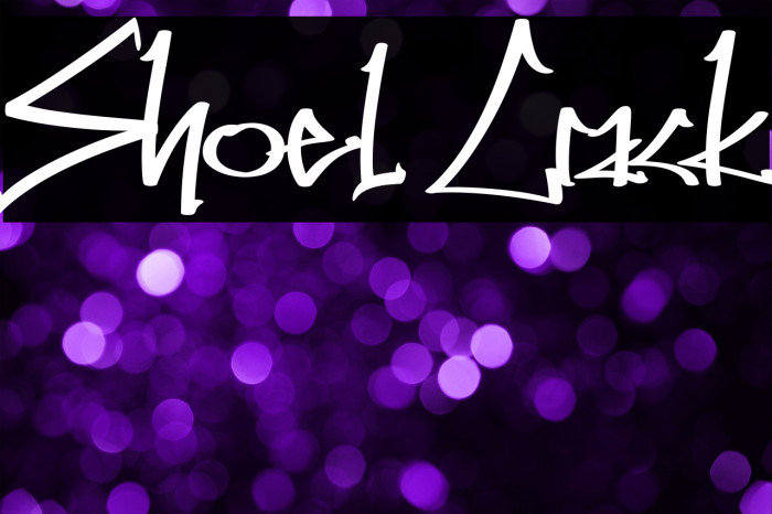 Shoel Crack Example 3