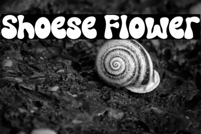 Shoese Flower Font examples